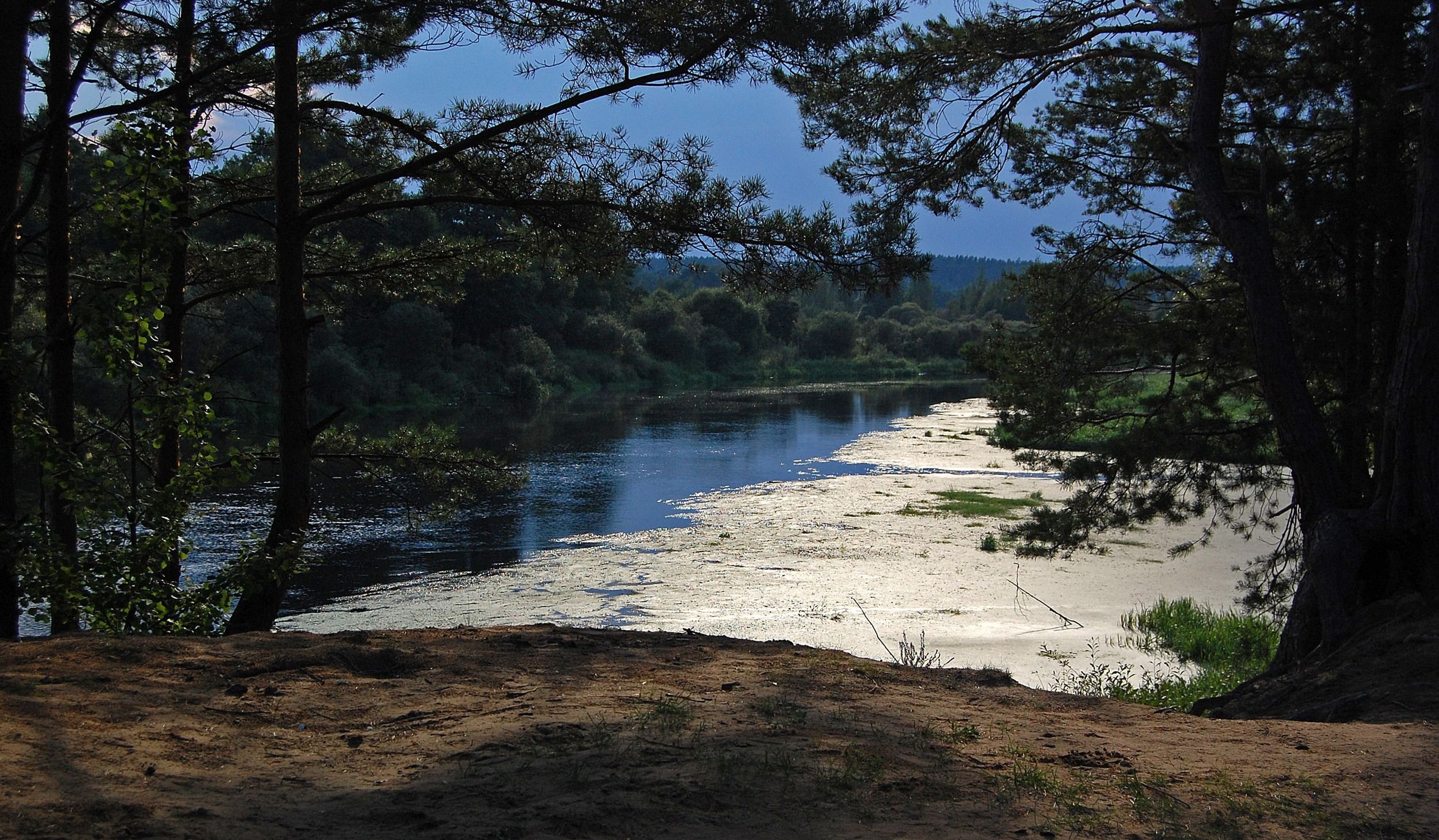 Dlb20-D12-otch_26.JPG