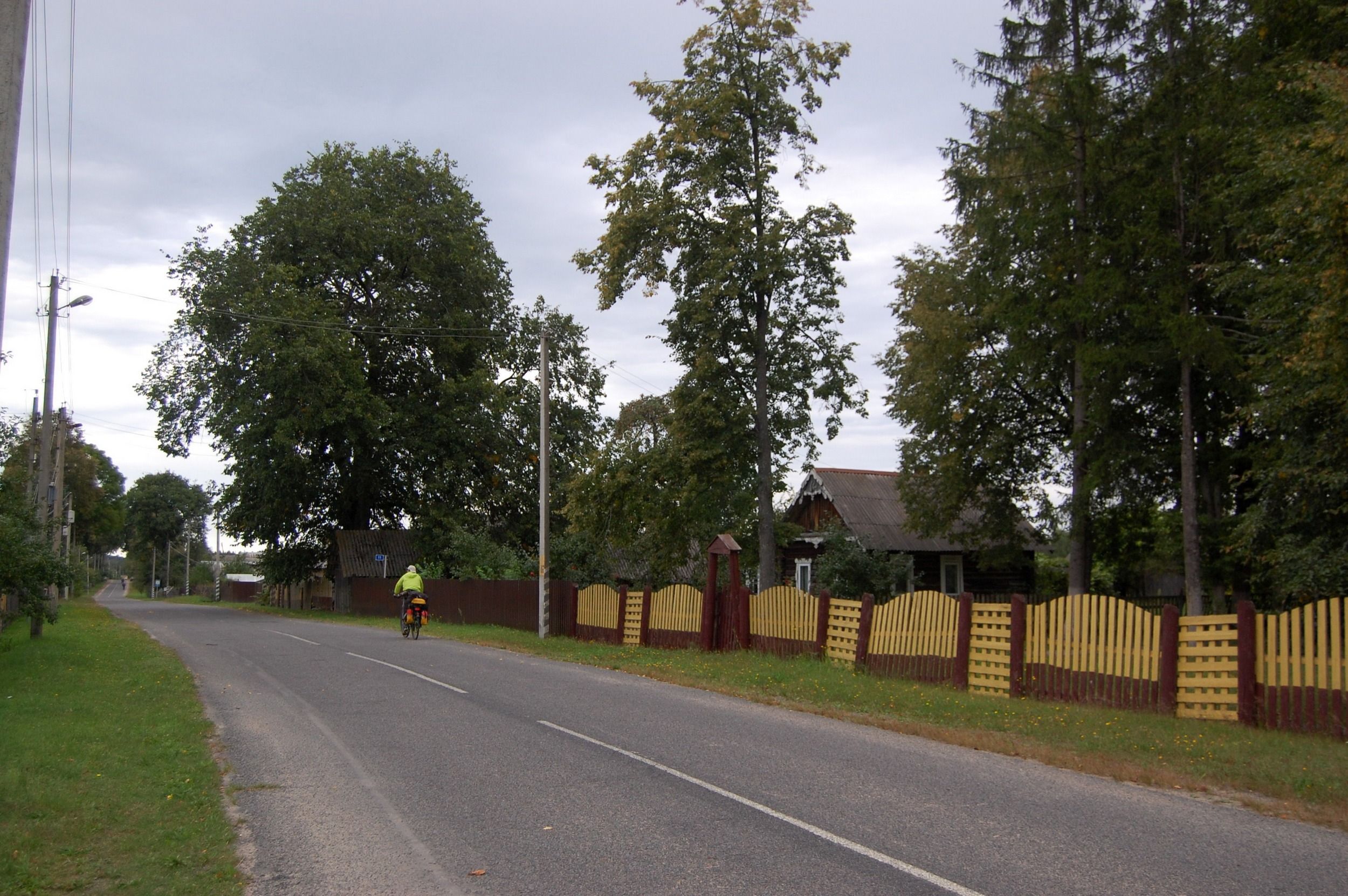 Dlb20-D3_otch_43.JPG