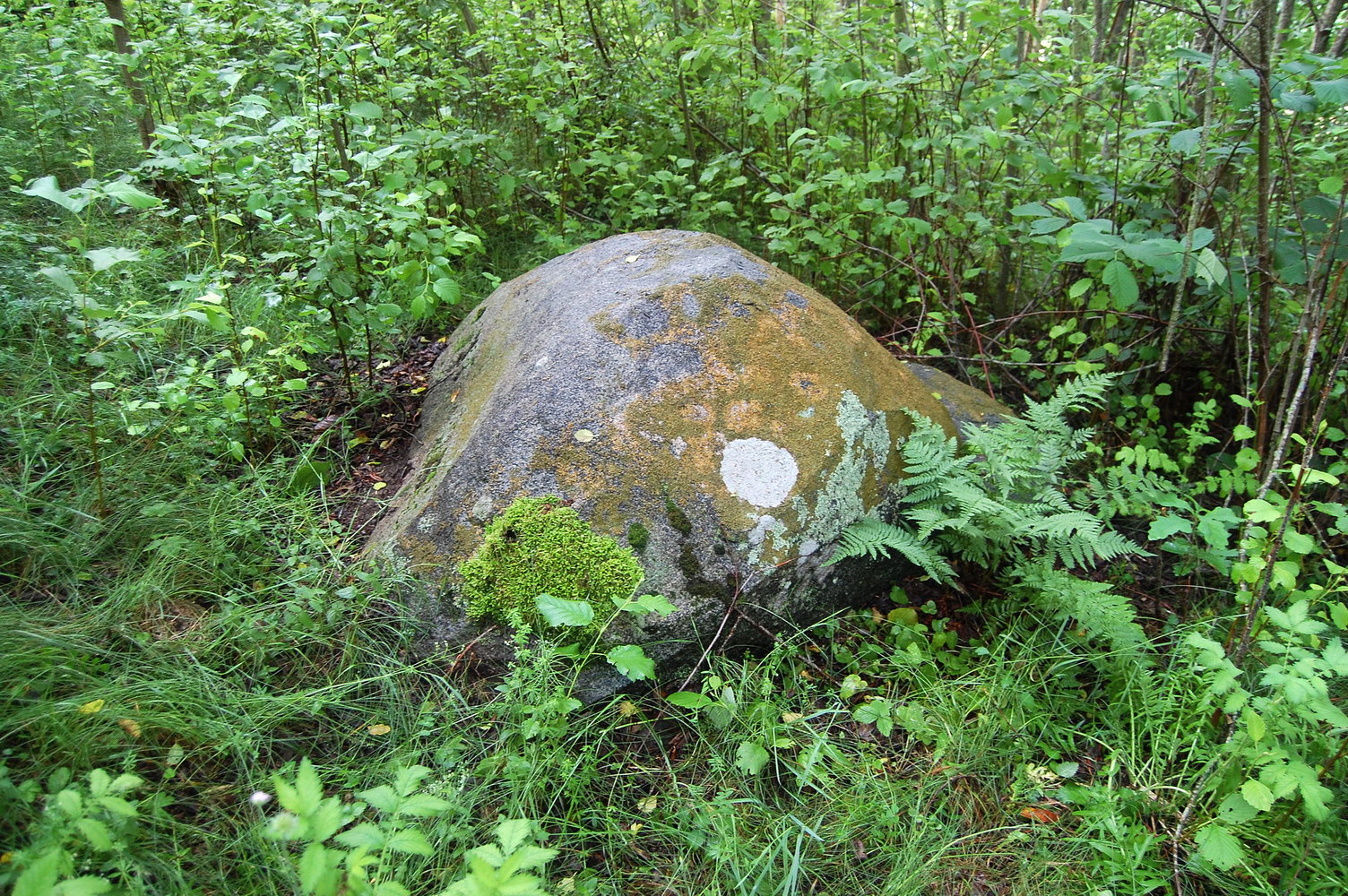 Z19o-d4_03