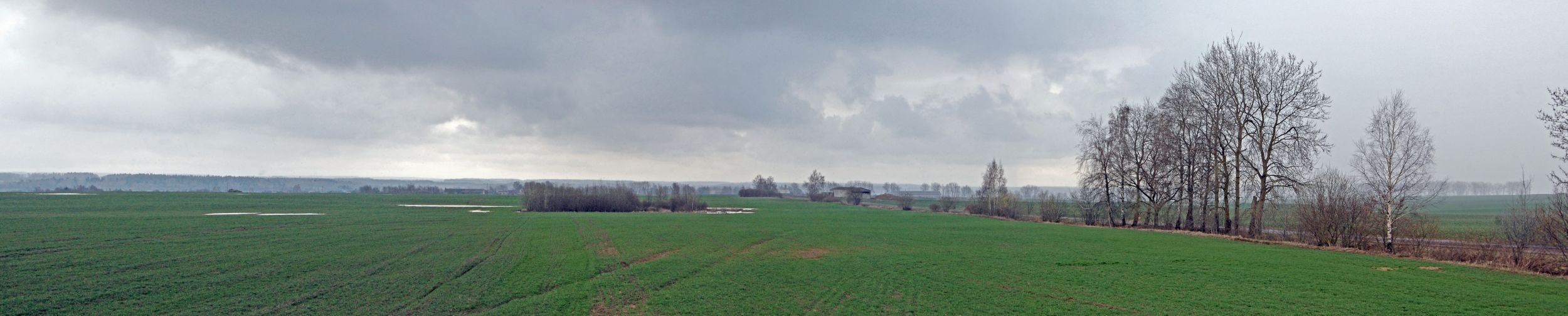 DSC_060.jpg