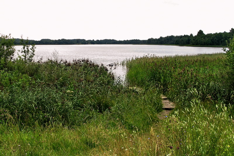 7-07-Shch.jpg