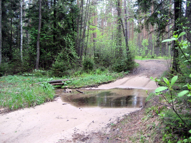 19_27.jpg