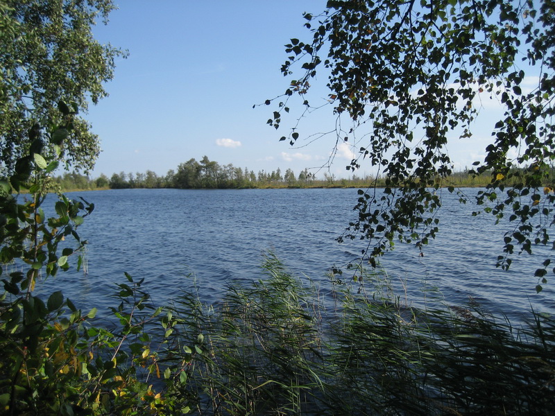 151-am.jpg