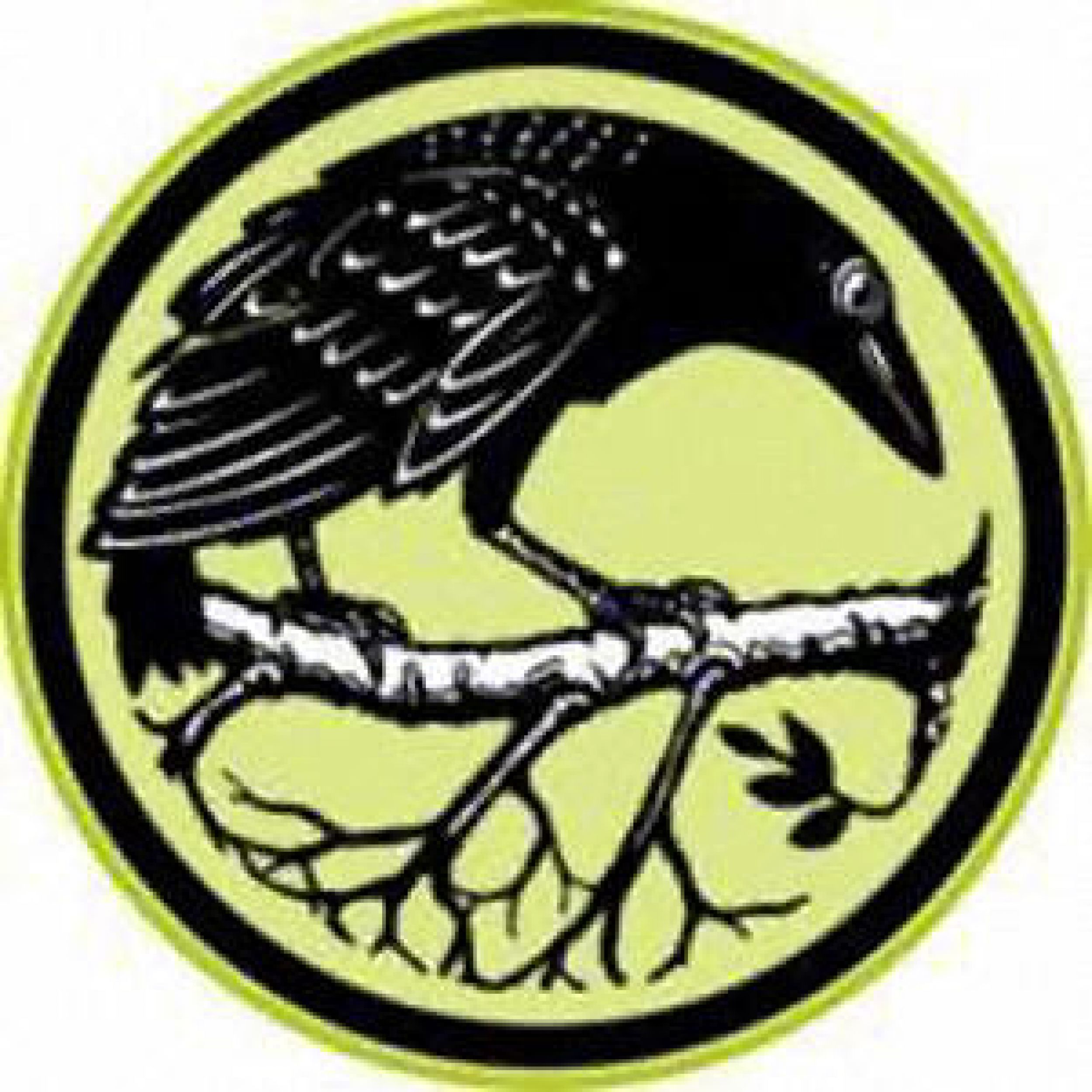 crow-best.jpg