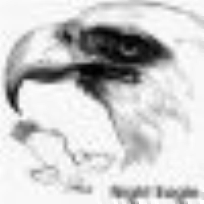 NightEagle