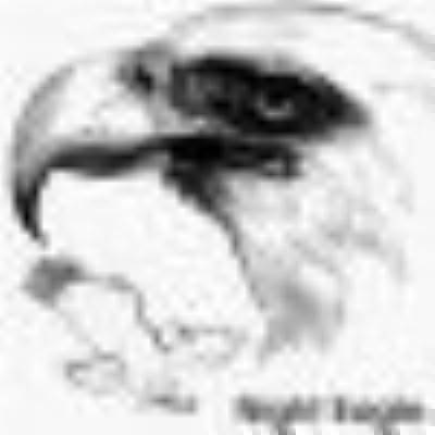 NightEagle