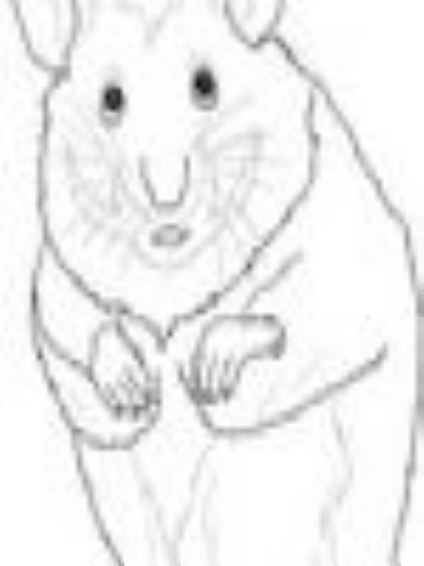 Gennady_