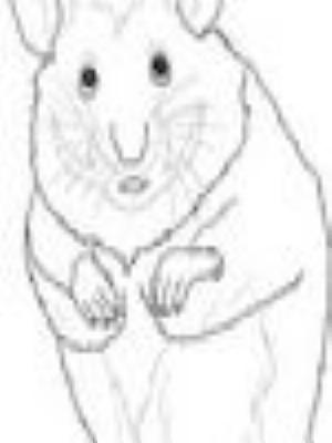 Gennady_