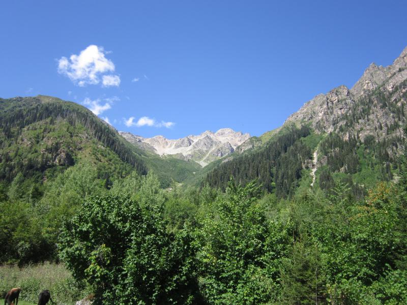 IMG_6502_2.jpg