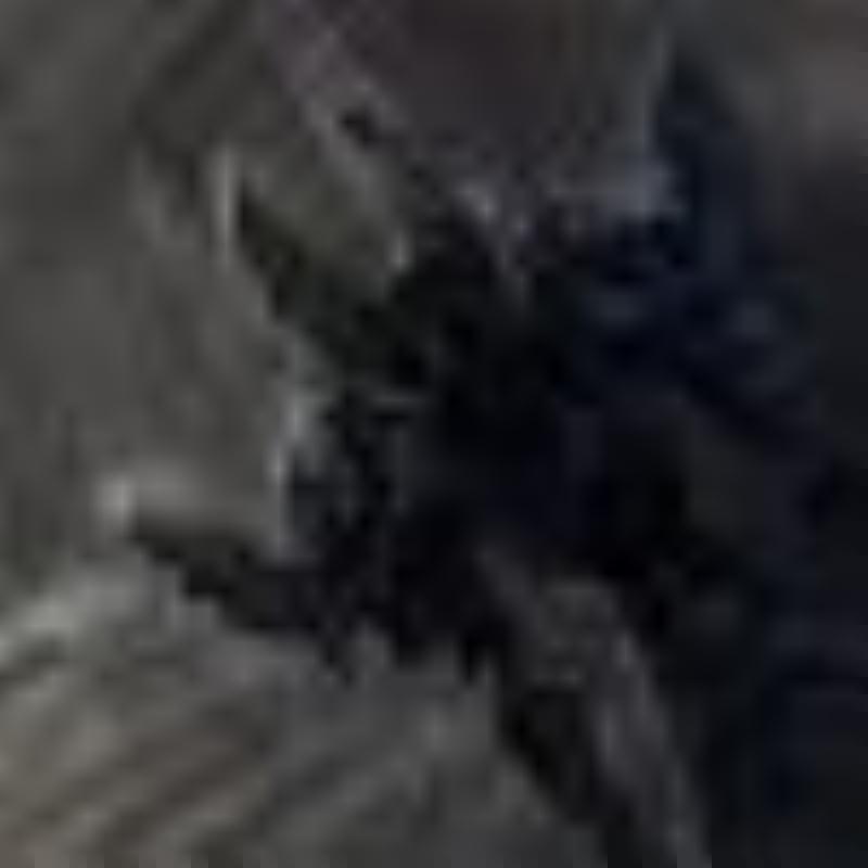navrik