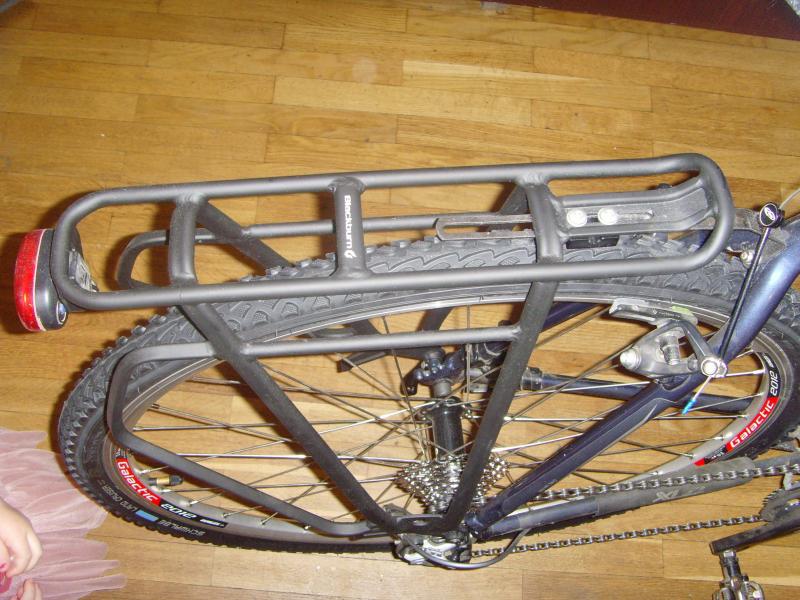 SNV36145.jpg