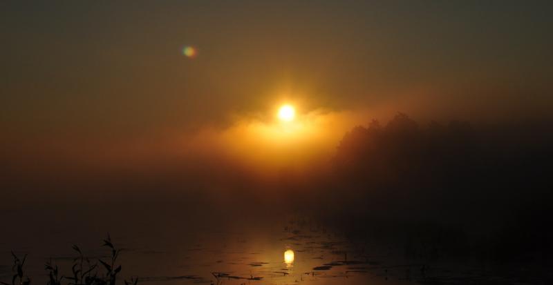 DSC_1513.jpg