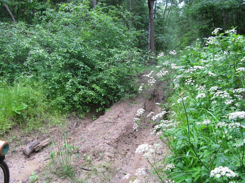 IMG_2930_-_kopiya.jpg