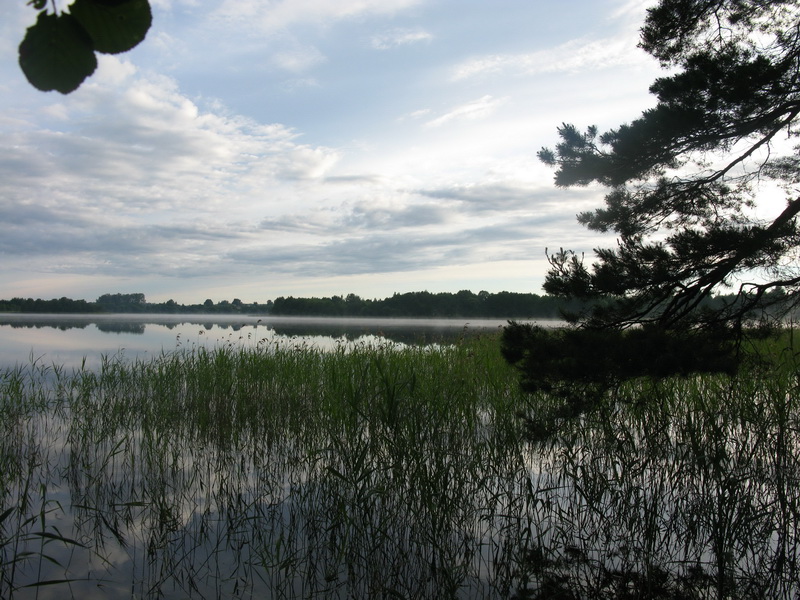 IMG_2966.JPG