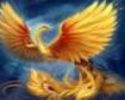 Phoenix-Li