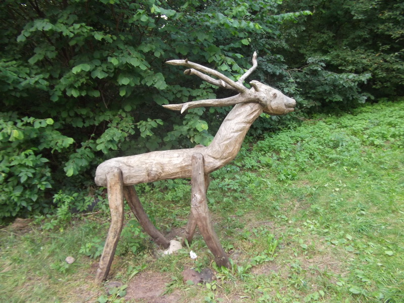 DSCF2855_2.jpg
