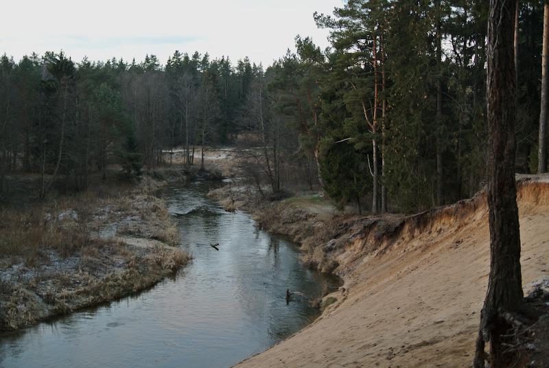 DSC_8770s.jpg