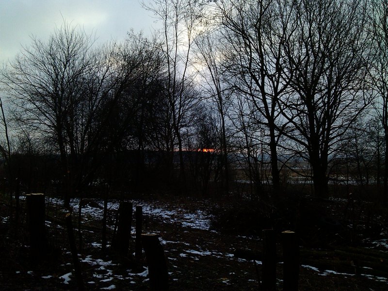 IMG_20131218_093524.jpg