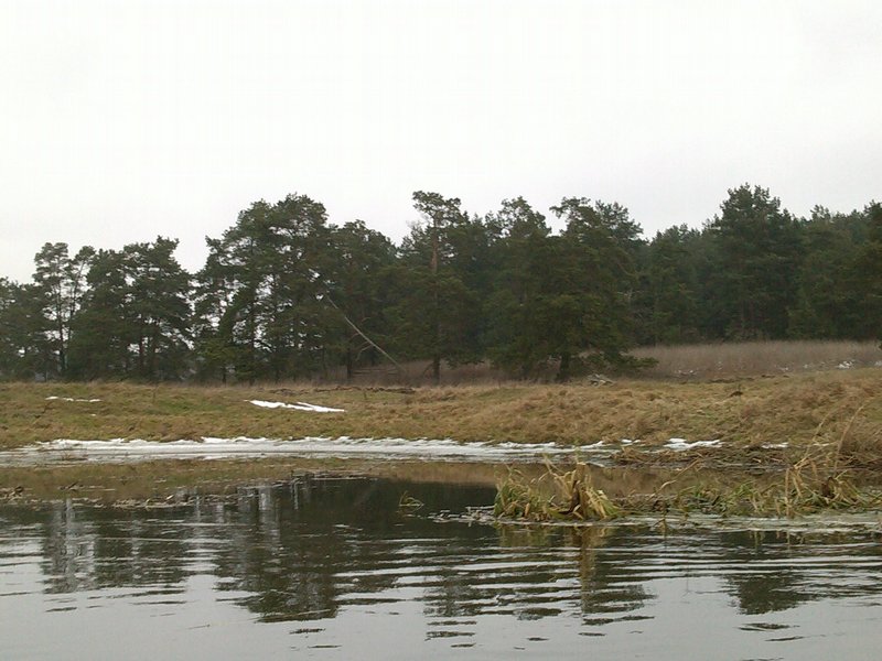 IMG_20131218_122325.jpg