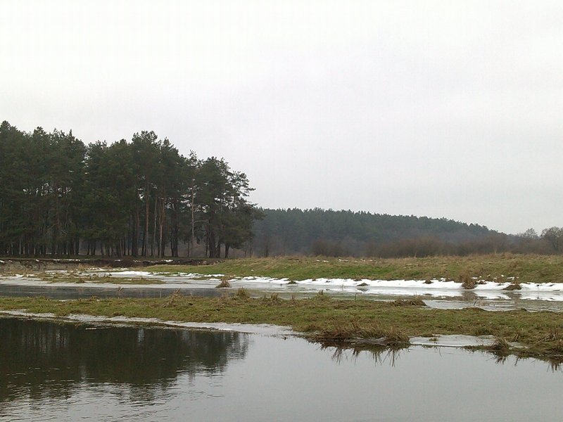 IMG_20131218_123450.jpg