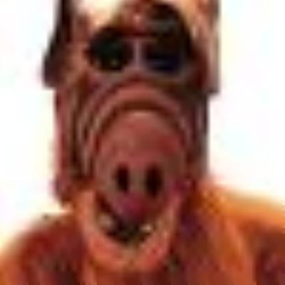 Alf_))