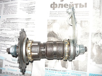 P1070561.JPG