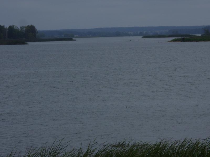 SDC10185.jpg