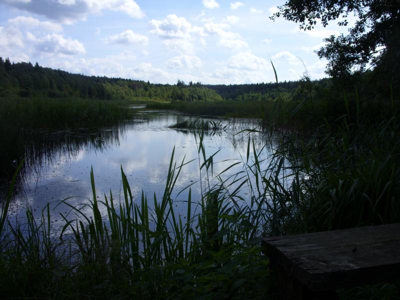 SDC10269.jpg