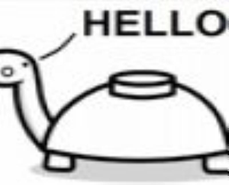 Mine_Turtle