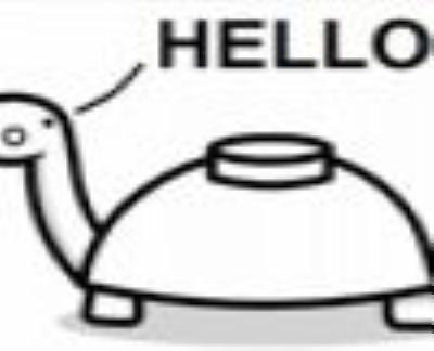 Mine_Turtle