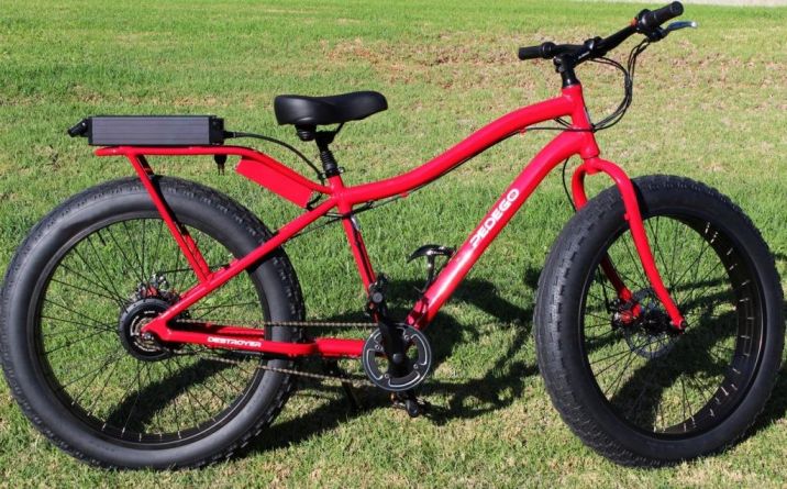 pedegos-destroyer-electric-fat-bike.jpg