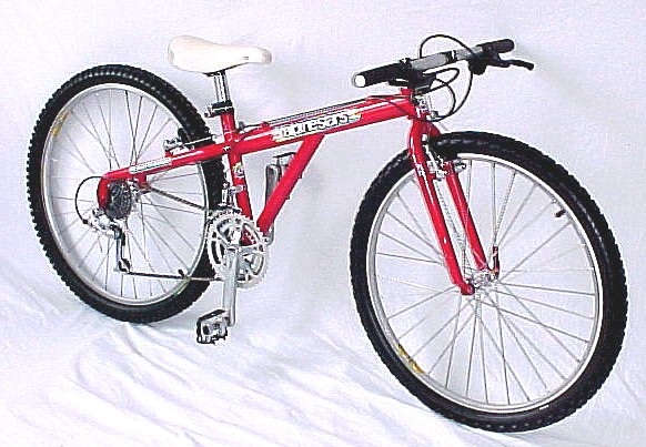 Alpine_stars_-1991.JPG