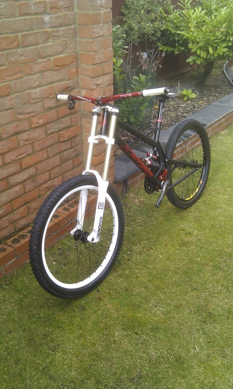 Katipo_DH_custom_-03r43.jpg