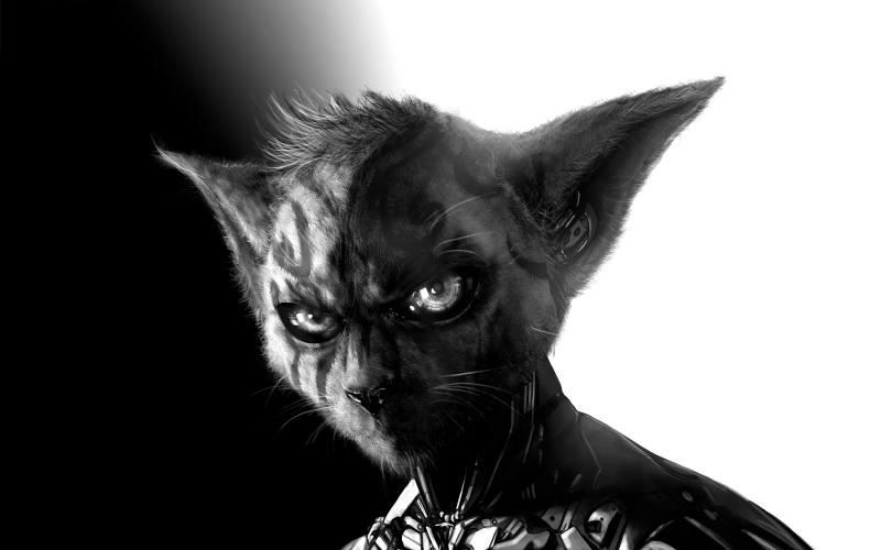 cyborg-cat-ed.jpg