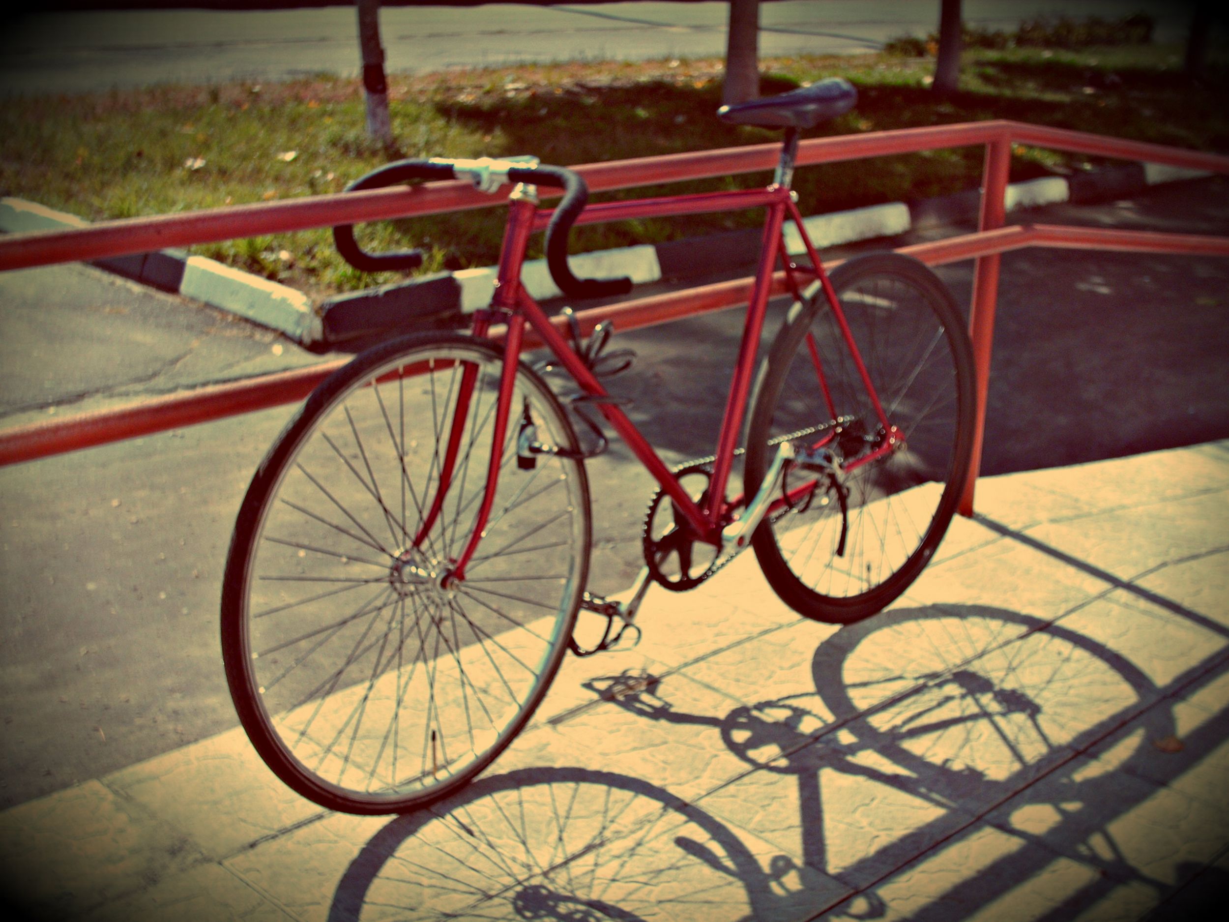 my_fixie_2.jpg