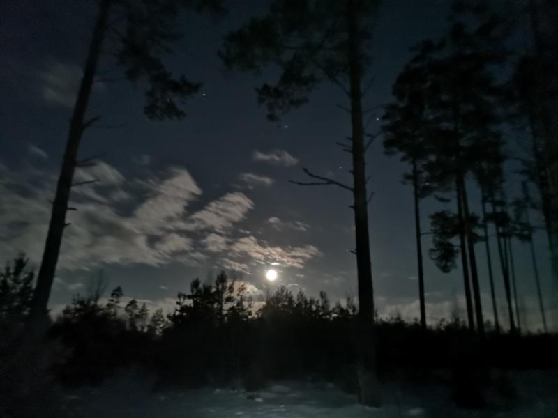 IMG_20190119_054750.jpg