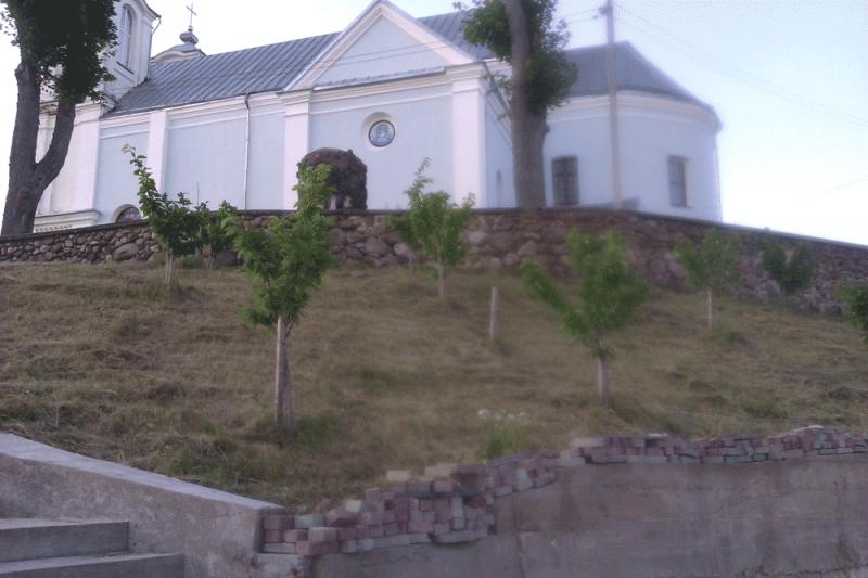 IMAG0271.jpg
