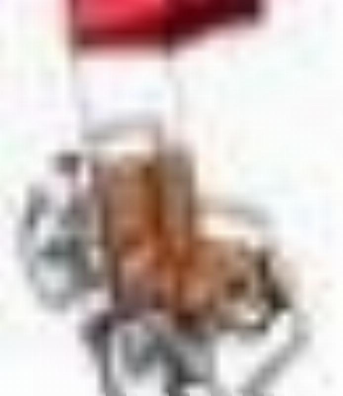 vaslog