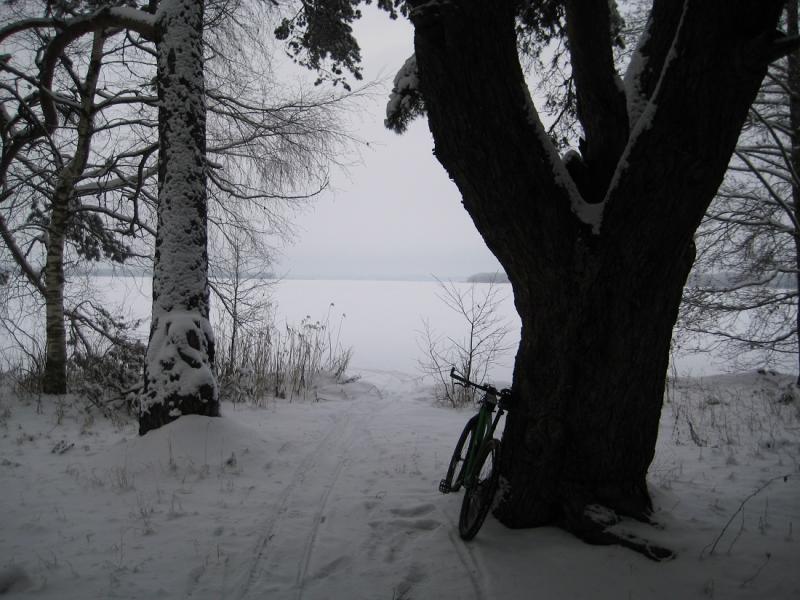 IMG_9070.jpg