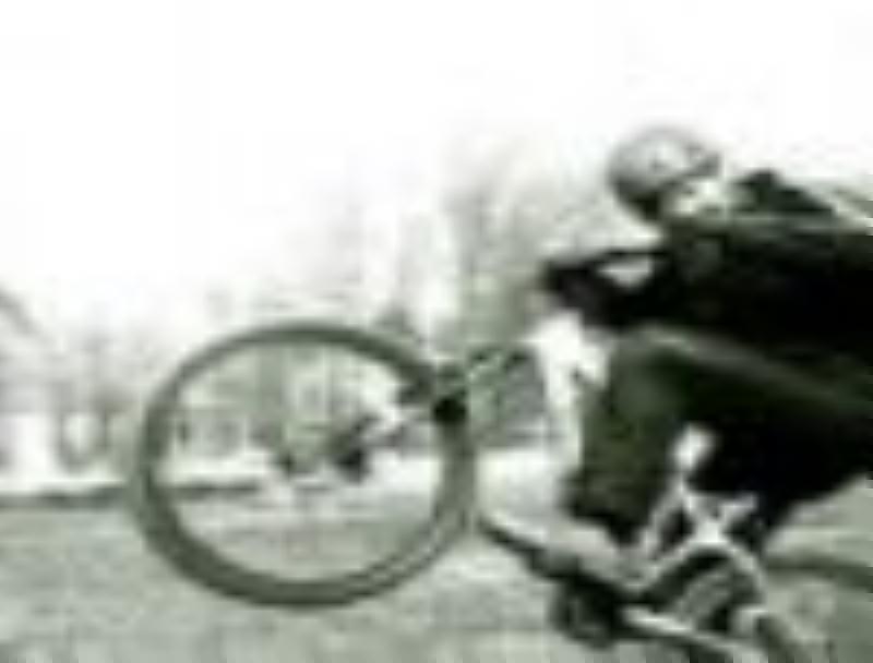 Alexfly_27