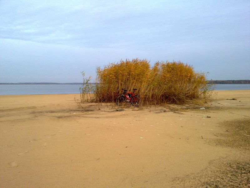 261020131209.jpg