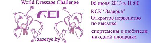 dressage-zazerye-fei-mini-2.jpg