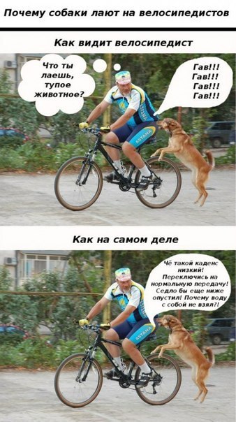 FJ1CZkEsRMc.jpg