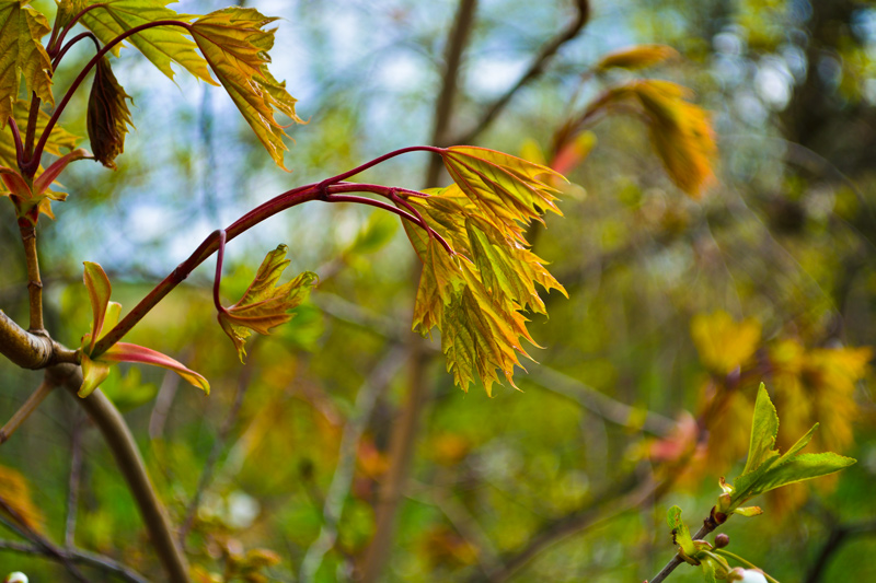 _DSC3650-2-uzhat.jpg