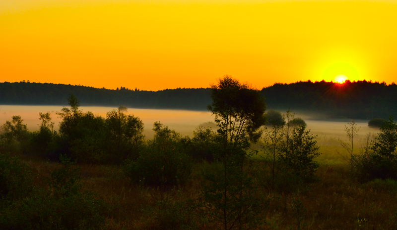 _DSC5928-02-uzhat.jpg