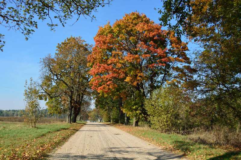_DSC6474-uzhat.jpg