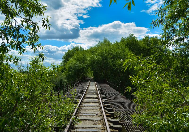 _DSC1210-04-na-velo-bay.jpg