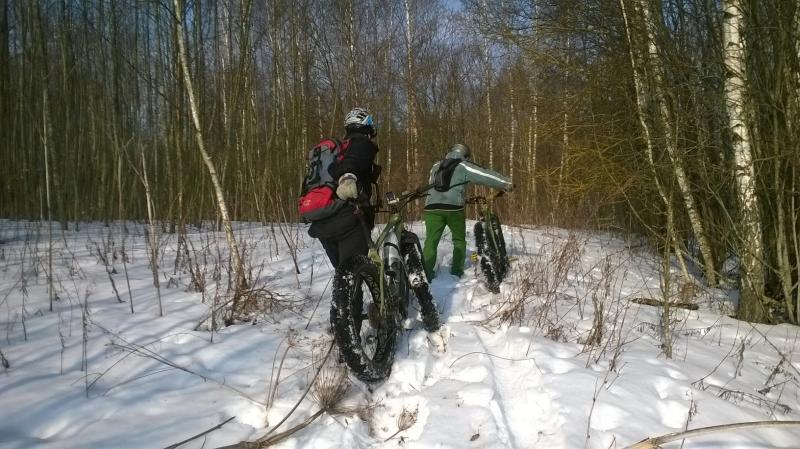 WP_20150222_003.jpg