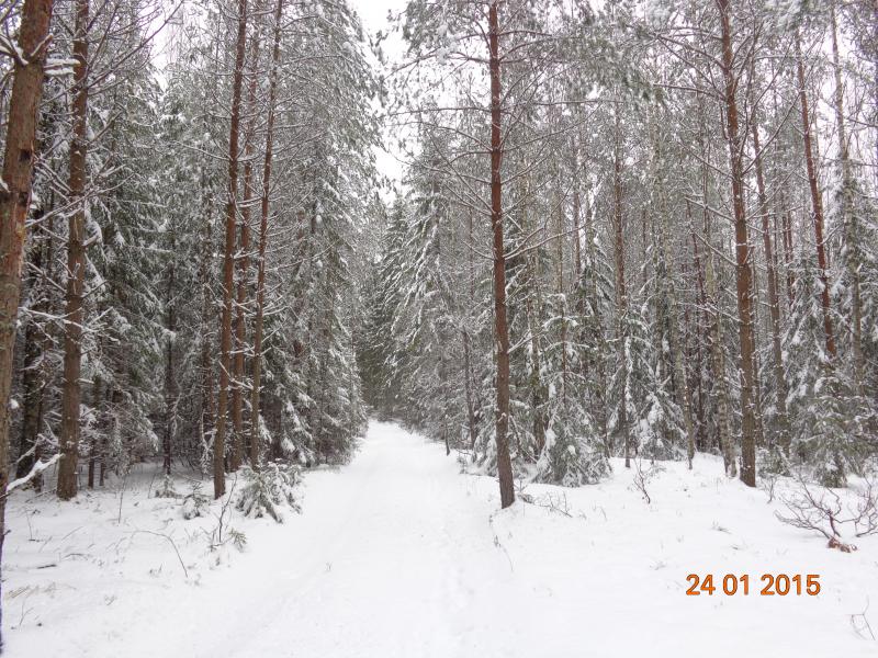 DSC01605.jpg