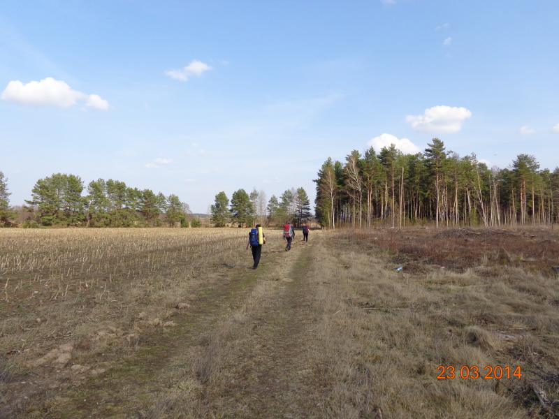 DSC00270.jpg